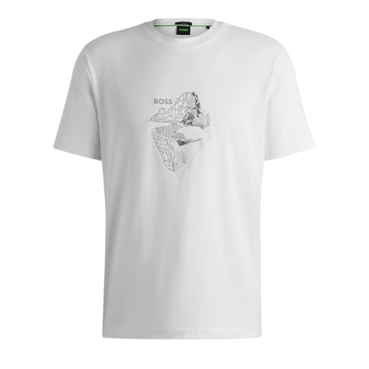 Hugo Boss Shirt