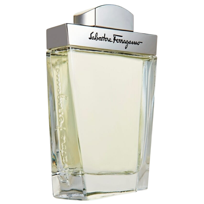 Salvatore Ferragamo Pour Homme 3.4oz