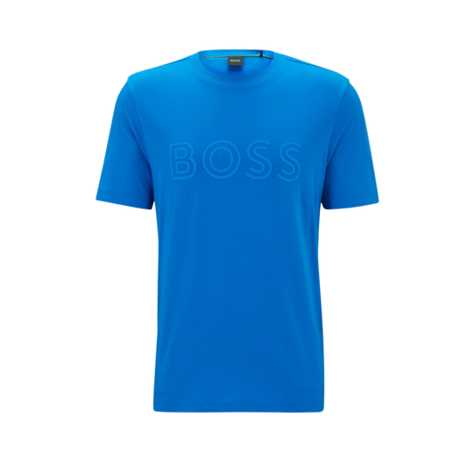 Hugo Boss Shirt