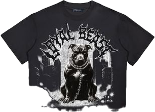 Roku Studio T-Shirt