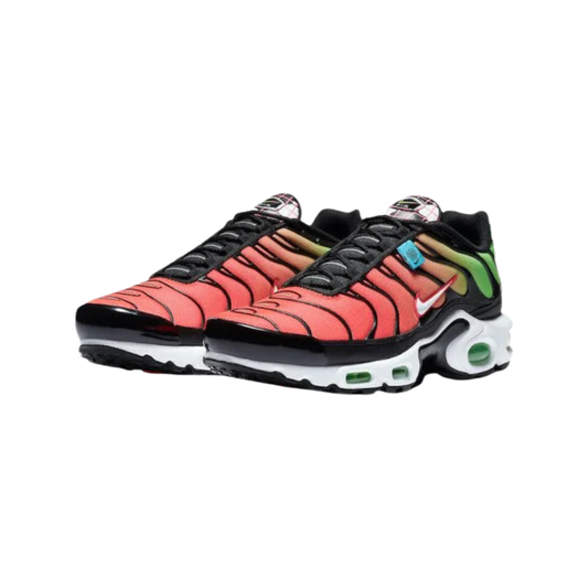 Nike Air Max Plus TN